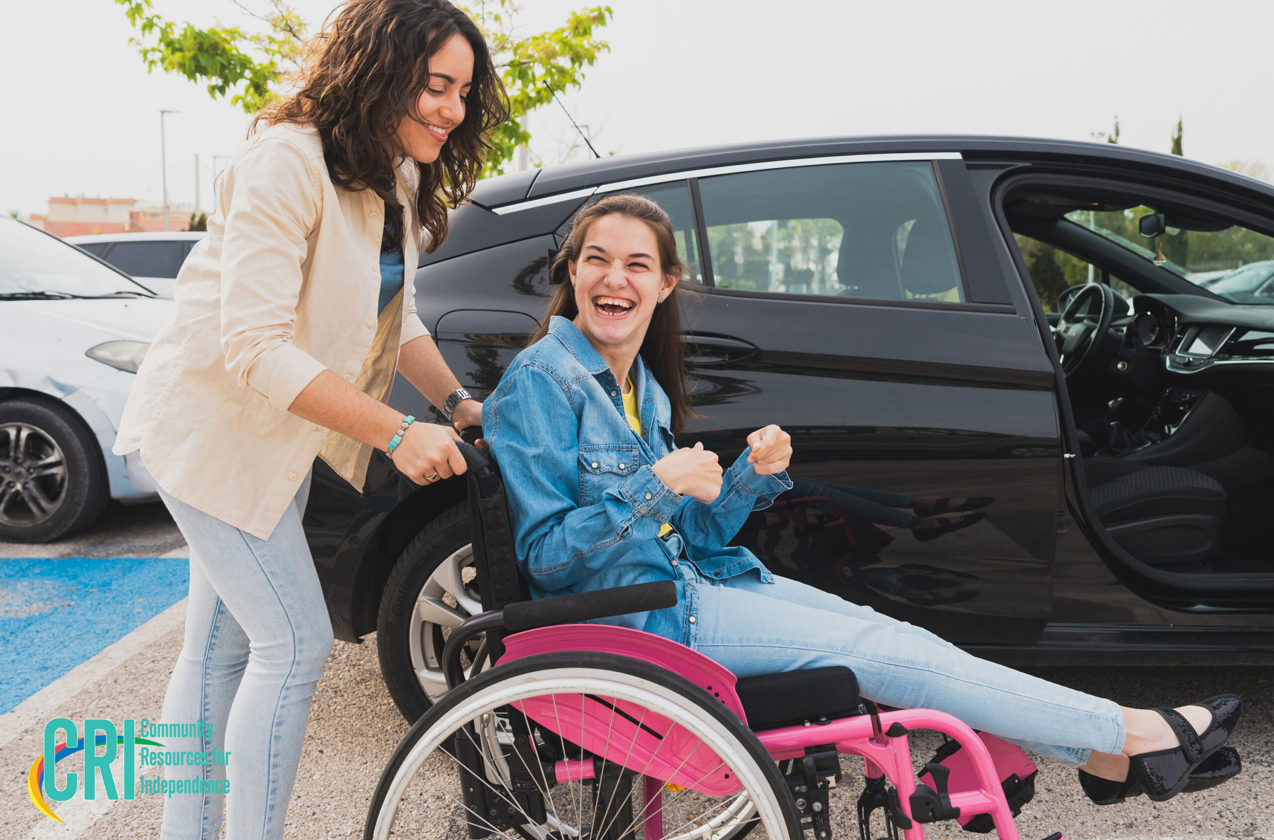 disability transportation solutions